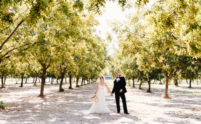 Michelle (Shelby) + Kory | Grace Gardens | El Paso,&nbsp;TX